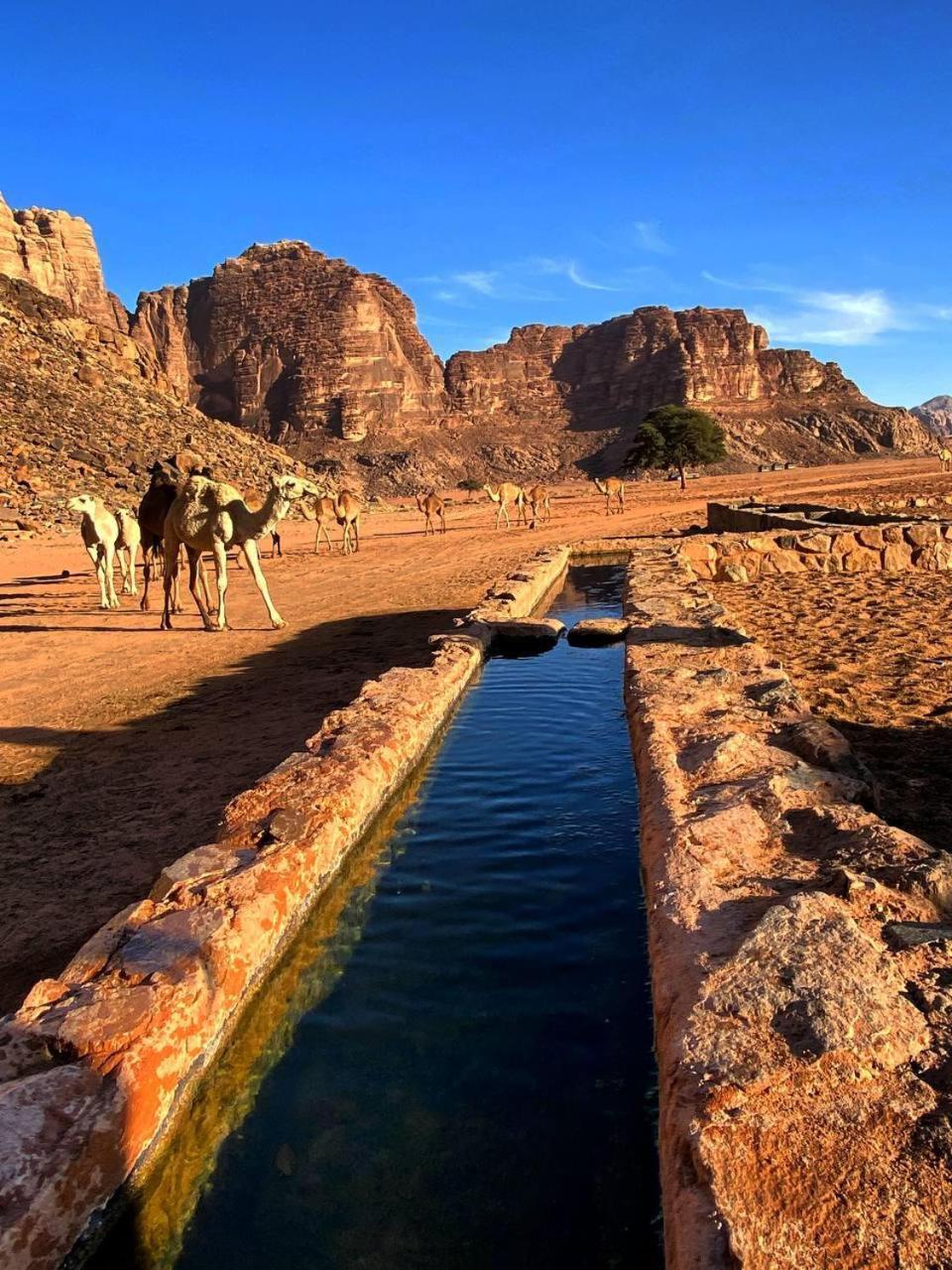 Wadi Rum Magic Nature Camp מראה חיצוני תמונה